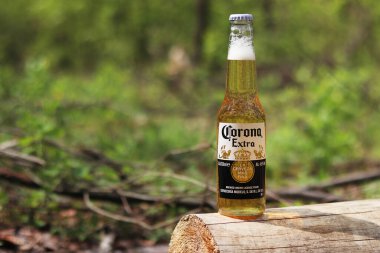 Kyiv, Ukrayna - 12 Mayıs 2025: Bulanık bir orman veya parkın arka planına karşı Corona Extra birası. Corona hafif bir bira. Şişe bira, yan görüş, boş yer. Tazeleyici içecek. Bira yakın plan.