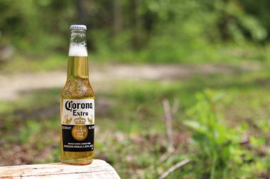 Kyiv, Ukrayna - 12 Mayıs 2025: Bulanık bir orman veya parkın arka planına karşı Corona Extra birası. Corona hafif bir bira. Şişe bira, yan görüş, boş yer. Tazeleyici içecek. Bira yakın plan.