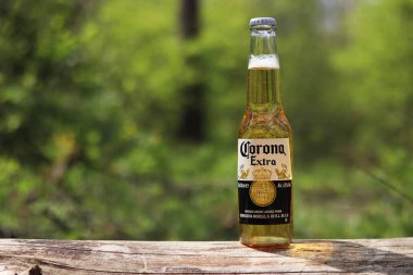 Kyiv, Ukrayna - 12 Mayıs 2025: Bulanık bir orman veya parkın arka planına karşı Corona Extra birası. Corona hafif bir bira. Şişe bira, yan görüş, boş yer. Tazeleyici içecek. Bira yakın plan.