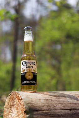 Kyiv, Ukrayna - 12 Mayıs 2025: Bulanık bir orman veya parkın arka planına karşı Corona Extra birası. Corona hafif bir bira. Şişe bira, yan görüş, boş yer. Tazeleyici içecek. Bira yakın plan.