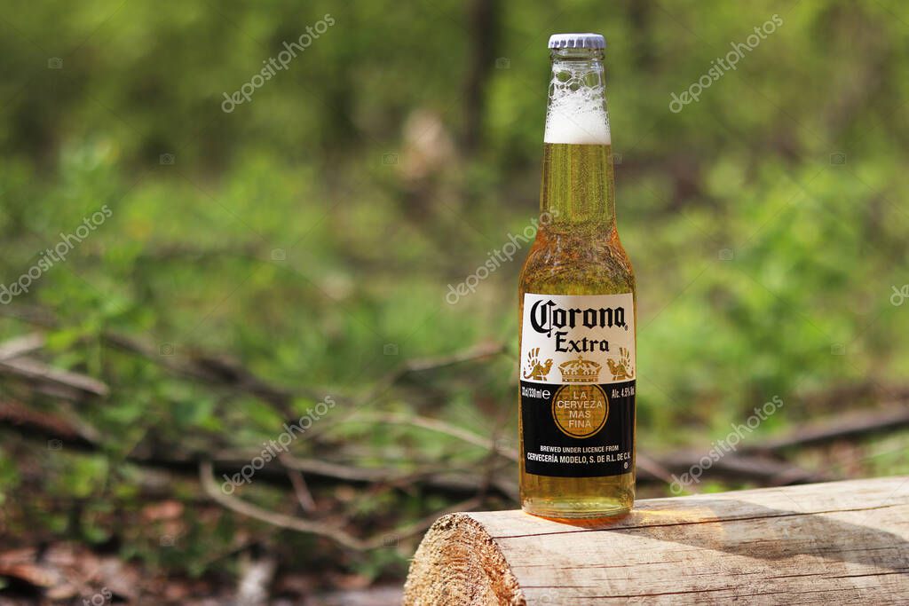 Kyiv, Ukraine - May 12, 2025: Corona Extra beer against the background of a blurred forest or park. Corona is a light lager. Bottled beer, side view, free space. Refreshing drink. Beer close-up