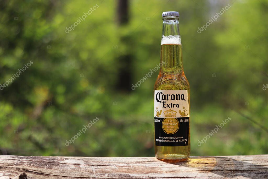 Kyiv, Ukraine - May 12, 2025: Corona Extra beer against the background of a blurred forest or park. Corona is a light lager. Bottled beer, side view, free space. Refreshing drink. Beer close-up
