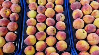 Markette özel kutularda birikmiş olgun şeftaliler. Satılık meyveler. Süpermarkette şeftali. Süpermarkette ya da sebze pazarında taze meyve satılıyor.