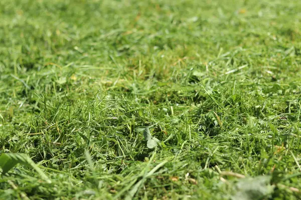 Taze kesilmiş çimenler. Bölgeyi temizliyorum. Seçici odaklı kendi otum. Doğal arka plan. Çim biçiyorum. Yakın plan kesilmiş çimen yığınının fotoğrafı.