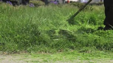Tıraş makinesiyle çim biçmek. Bir adam aşırı büyümüş çimleri biçmek için budama makinesi kullanır. Yakın plan. Her gün çim bakımı. Parkta çim biçiyorum. Çalış. Çim biçme makinesi. Bahçe bakım hizmetleri