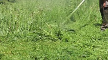 Kyiv, Ukrayna - 22 Mayıs 2025: Aşırı büyümüş çimleri biçmek için budayıcı kullanan adam, yakın plan. Günlük çim bakımı. Parkta çim biçiyorum. Çalış. Çim biçme makinesi. Bahçe bakım hizmetleri
