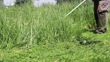 Kyiv, Ukrayna - 22 Mayıs 2025: Aşırı büyümüş çimleri biçmek için budayıcı kullanan adam, yakın plan. Günlük çim bakımı. Parkta çim biçiyorum. Çalış. Çim biçme makinesi. Bahçe bakım hizmetleri