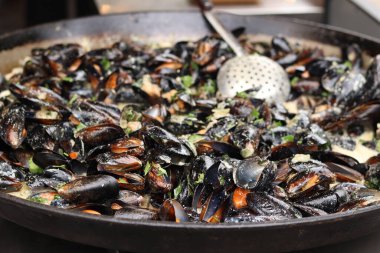 Büyük bir tavada maydanozlu ve soslu midye. Yemek katı. Sokak yemeği. Kabuklu midyeler kızartma tavasında otlarla pişiriliyor. Bir markette sosta pişirilmiş midyeler. Deniz ürünleri tabağı pişiriyorum.