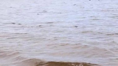 Nehir. Su yüzeyinde küçük dalgalar var. Açık hava eğlencesi. Bulutlu havada nehir, hafif rüzgar. Su akışı. Nehir yüzeyindeki dalgalar yakın plan. Doğa.