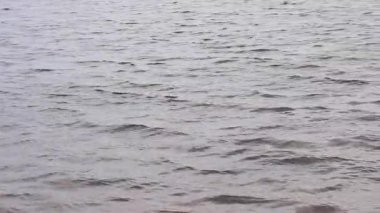 Nehir. Su yüzeyinde küçük dalgalar var. Açık hava eğlencesi. Bulutlu havada nehir, hafif rüzgar. Su akışı. Nehir yüzeyindeki dalgalar yakın plan. Doğa.