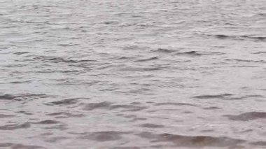 Nehir. Su yüzeyinde küçük dalgalar var. Açık hava eğlencesi. Bulutlu havada nehir, hafif rüzgar. Su akışı. Nehir yüzeyindeki dalgalar yakın plan. Doğa.