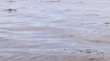 Nehir. Su yüzeyinde küçük dalgalar var. Açık hava eğlencesi. Bulutlu havada nehir, hafif rüzgar. Su akışı. Nehir yüzeyindeki dalgalar yakın plan. Doğa.