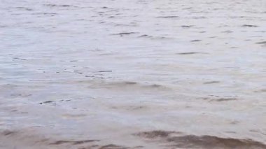 Nehir. Su yüzeyinde küçük dalgalar var. Açık hava eğlencesi. Bulutlu havada nehir, hafif rüzgar. Su akışı. Nehir yüzeyindeki dalgalar yakın plan. Doğa.