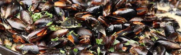 Büyük bir tavada maydanozlu ve soslu midye. Yemek katı. Sokak yemeği. Kabuklu midyeler kızartma tavasında otlarla pişiriliyor. Bir markette sosta pişirilmiş midyeler. Deniz ürünleri tabağı pişiriyorum.