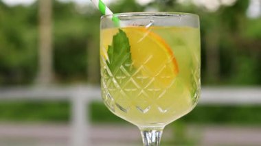 Doğanın bulanık arka planında cam bir kadehte limonata. Limonata ya da bardaktaki diğer içkiler. Nane ve portakal dilimleri ile yaz ferahlatıcı içecek. Açık havada bir masada kokteyl, Viranda.