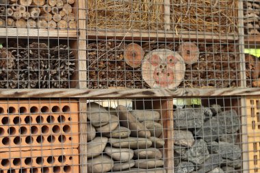 Böcek evleri. Arılar, yaban arıları, uğur böcekleri, yer böcekleri, bağcık kanatları, uçan sinekler bu tür evlerde yaşayabilirler. Haşere kontrolü ve bitkilerin tozlaşması için tahta böcek evi. Yararlı böcekler için ev