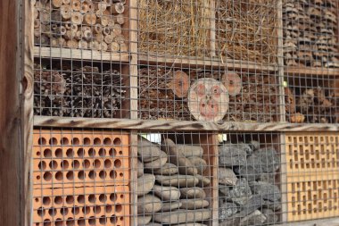 Böcek evleri. Arılar, yaban arıları, uğur böcekleri, yer böcekleri, bağcık kanatları, uçan sinekler bu tür evlerde yaşayabilirler. Haşere kontrolü ve bitkilerin tozlaşması için tahta böcek evi. Yararlı böcekler için ev