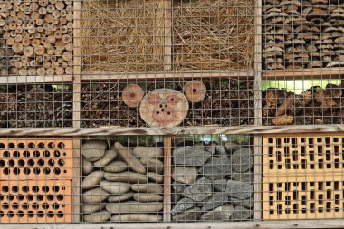 Böcek evleri. Arılar, yaban arıları, uğur böcekleri, yer böcekleri, bağcık kanatları, uçan sinekler bu tür evlerde yaşayabilirler. Haşere kontrolü ve bitkilerin tozlaşması için tahta böcek evi. Yararlı böcekler için ev