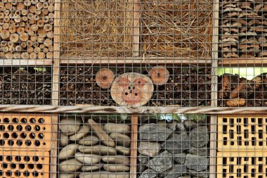 Böcek evleri. Arılar, yaban arıları, uğur böcekleri, yer böcekleri, bağcık kanatları, uçan sinekler bu tür evlerde yaşayabilirler. Haşere kontrolü ve bitkilerin tozlaşması için tahta böcek evi. Yararlı böcekler için ev