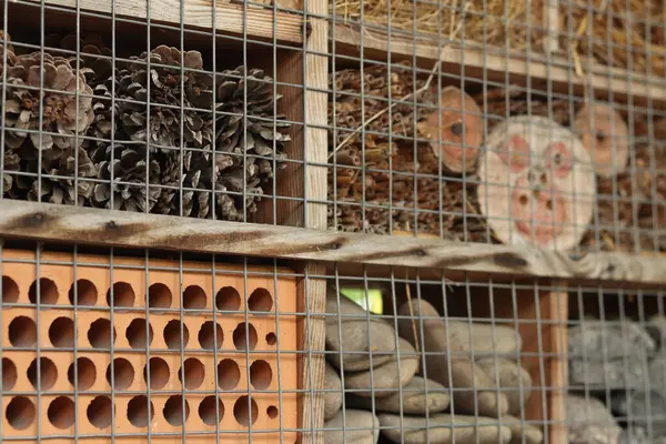 Böcek evleri. Haşere kontrolü ve bitkilerin tozlaşması için tahta böcek evi. Yararlı böcekler için ev