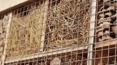 Böcek evleri. Haşere kontrolü ve bitkilerin tozlaşması için tahta böcek evi. Yararlı böcekler için ev