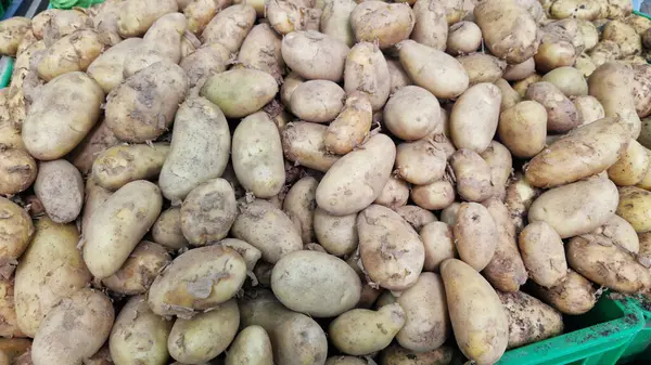 Markette taze patates satılıyor. Markette bir yığın organik patates. Sağlıklı beslenme konsepti. Süpermarketin sebze bölümü. Marketin tezgahında taze patates. Yiyecek.