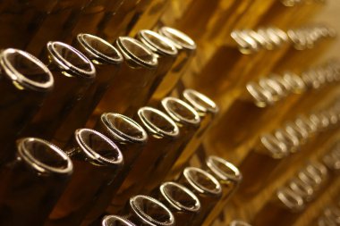 Karbonatlı elma şırası üretimi. Seçici bir odak noktası olan elma şarabıyla dolu cam şişeler. Bardakta iç. Şişe içinde özel ahşap raflarda elma şarabı fermantasyonu.