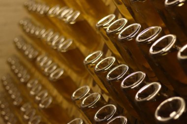 Karbonatlı elma şırası üretimi. Seçici bir odak noktası olan elma şarabıyla dolu cam şişeler. Bardakta iç. Şişe içinde özel ahşap raflarda elma şarabı fermantasyonu.