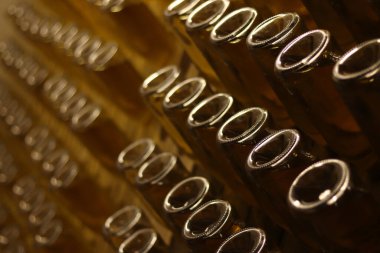 Karbonatlı elma şırası üretimi. Seçici bir odak noktası olan elma şarabıyla dolu cam şişeler. Bardakta iç. Şişe içinde özel ahşap raflarda elma şarabı fermantasyonu.