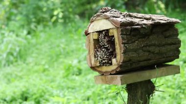 Böceklerin evine yakın çekim. Haşere kontrolü ve bitkilerin tozlaşması için tahta böcek evi. Doğal maddelerden yapılmış böcekler için yararlı bir ev. Parktaki böcek oteli