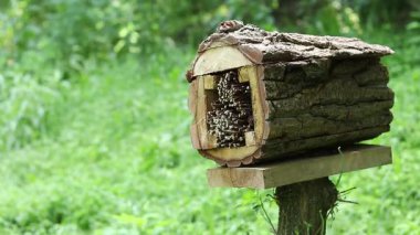 Böceklerin evine yakın çekim. Haşere kontrolü ve bitkilerin tozlaşması için tahta böcek evi. Doğal maddelerden yapılmış böcekler için yararlı bir ev. Parktaki böcek oteli