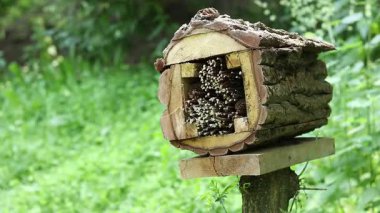 Böceklerin evine yakın çekim. Haşere kontrolü ve bitkilerin tozlaşması için tahta böcek evi. Doğal maddelerden yapılmış böcekler için yararlı bir ev. Parktaki böcek oteli