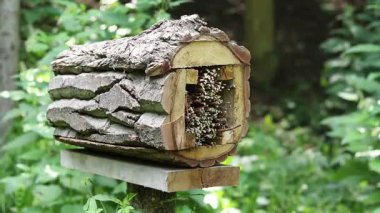 Böceklerin evine yakın çekim. Haşere kontrolü ve bitkilerin tozlaşması için tahta böcek evi. Doğal maddelerden yapılmış böcekler için yararlı bir ev. Parktaki böcek oteli