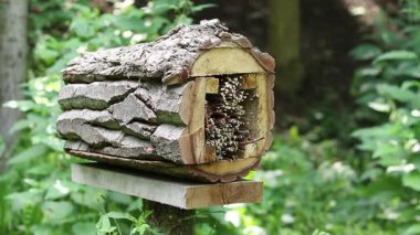Böceklerin evine yakın çekim. Haşere kontrolü ve bitkilerin tozlaşması için tahta böcek evi. Doğal maddelerden yapılmış böcekler için yararlı bir ev. Parktaki böcek oteli