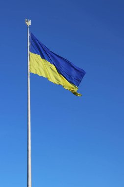 Gökyüzüne karşı Ukrayna bayrağı ve arması. Bayrak direğindeki mavi ve sarı bayrak. Ukrayna bayrağı sallıyor ve açık mavi gökyüzü. Ulusal kimlik, vatanseverlik, ülkenin sembolleri. Eyalet bayrağı