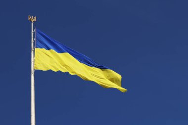 Gökyüzüne karşı Ukrayna bayrağı ve arması. Bayrak direğindeki mavi ve sarı bayrak. Ukrayna bayrağı sallıyor ve açık mavi gökyüzü. Ulusal kimlik, vatanseverlik, ülkenin sembolleri. Eyalet bayrağı