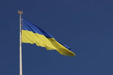 Gökyüzüne karşı Ukrayna bayrağı ve arması. Bayrak direğindeki mavi ve sarı bayrak. Ukrayna bayrağı sallıyor ve açık mavi gökyüzü. Ulusal kimlik, vatanseverlik, ülkenin sembolleri. Eyalet bayrağı