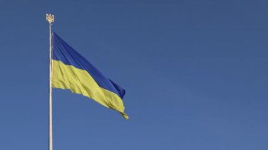 Gökyüzüne karşı Ukrayna bayrağı ve arması. Bayrak direğindeki mavi ve sarı bayrak. Ukrayna bayrağı sallıyor ve açık mavi gökyüzü. Ulusal kimlik, vatanseverlik, ülkenin sembolleri. Eyalet bayrağı