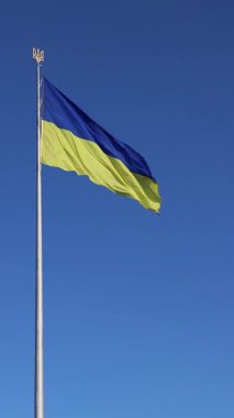 Gökyüzüne karşı Ukrayna bayrağı ve arması. Bayrak direğindeki mavi ve sarı bayrak. Ukrayna bayrağı sallıyor ve açık mavi gökyüzü. Ulusal kimlik, vatanseverlik, ülkenin sembolleri. Eyalet bayrağı