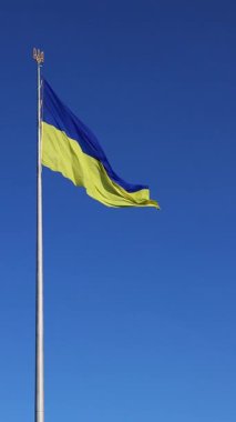 Gökyüzüne karşı Ukrayna bayrağı ve arması. Bayrak direğindeki mavi ve sarı bayrak. Ukrayna bayrağı sallıyor ve açık mavi gökyüzü. Ulusal kimlik, vatanseverlik, ülkenin sembolleri. Eyalet bayrağı