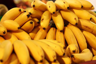 Olgun muzlar birikti. Süpermarkette satılan sarı muzlar. Yiyecekler. Bakkal geçmişi. Sokak pazarında bir sürü olgun muz. Mini ya da bebek muzları yaklaşın