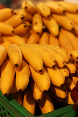 Olgun muzlar birikti. Süpermarkette satılan sarı muzlar. Yiyecekler. Bakkal geçmişi. Sokak pazarında bir sürü olgun muz. Mini ya da bebek muzları yaklaşın