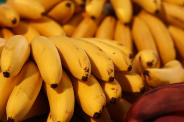 Olgun muzlar birikti. Süpermarkette satılan sarı muzlar. Yiyecekler. Bakkal geçmişi. Sokak pazarında bir sürü olgun muz. Mini ya da bebek muzları yaklaşın