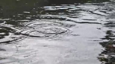 Sokakta yağmur birikintileri, su yüzeyine düşen yağmur damlaları. Video kaydı. Soğuk nemli hava. Islak bir caddeye düşen yağmur damlaları. Yakın plan. Doğal fenomen