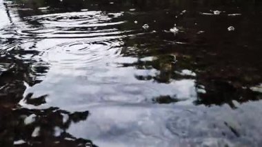 Sokakta yağmur birikintileri, su yüzeyine düşen yağmur damlaları. Video kaydı. Soğuk nemli hava. Islak bir caddeye düşen yağmur damlaları. Yakın plan. Doğal fenomen