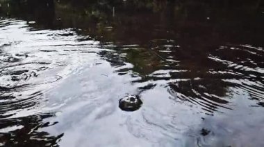 Sokakta yağmur birikintileri, su yüzeyine düşen yağmur damlaları. Video kaydı. Soğuk nemli hava. Islak bir caddeye düşen yağmur damlaları. Yakın plan. Doğal fenomen