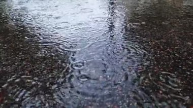Sokakta yağmur birikintileri, su yüzeyine düşen yağmur damlaları. Video kaydı. Soğuk nemli hava. Islak bir caddeye düşen yağmur damlaları. Yakın plan. Doğal fenomen