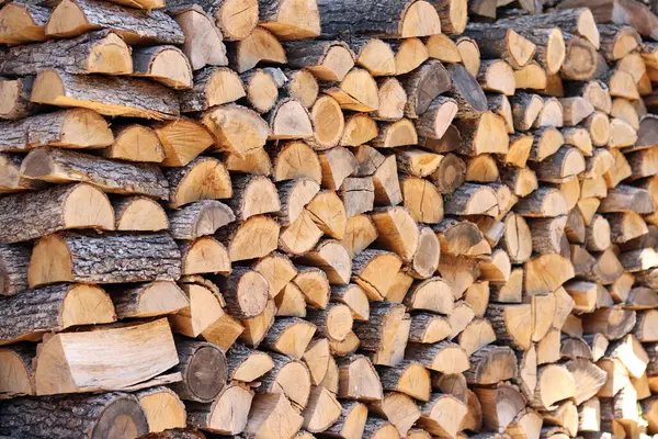 Duvar boyunca yığılmış odun yığını. Ahşap kütükler kes. Sokağın avlusundaki duvarda depolanmış yakacak odunlar. Kışın soba için yakıt. Odun, kurutmak için istiflenir.