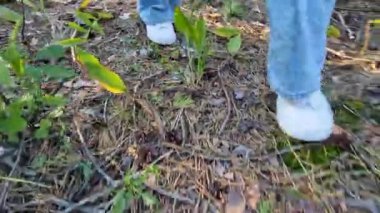 Beyaz spor ayakkabılarla ormanın zemininden yürüyen kadın bacakları. Yaz yürüyüşü. Doğa yürüyüşü. Parkta yürüyen bacaklar. Ön manzara. Akşam yürüyüşü temiz havada