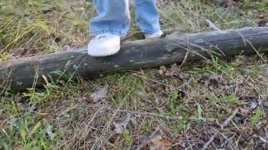 Beyaz spor ayakkabılarla ormanın zemininden yürüyen kadın bacakları. Yaz yürüyüşü. Doğa yürüyüşü. Parkta yürüyen bacaklar. Ön manzara. Akşam yürüyüşü temiz havada